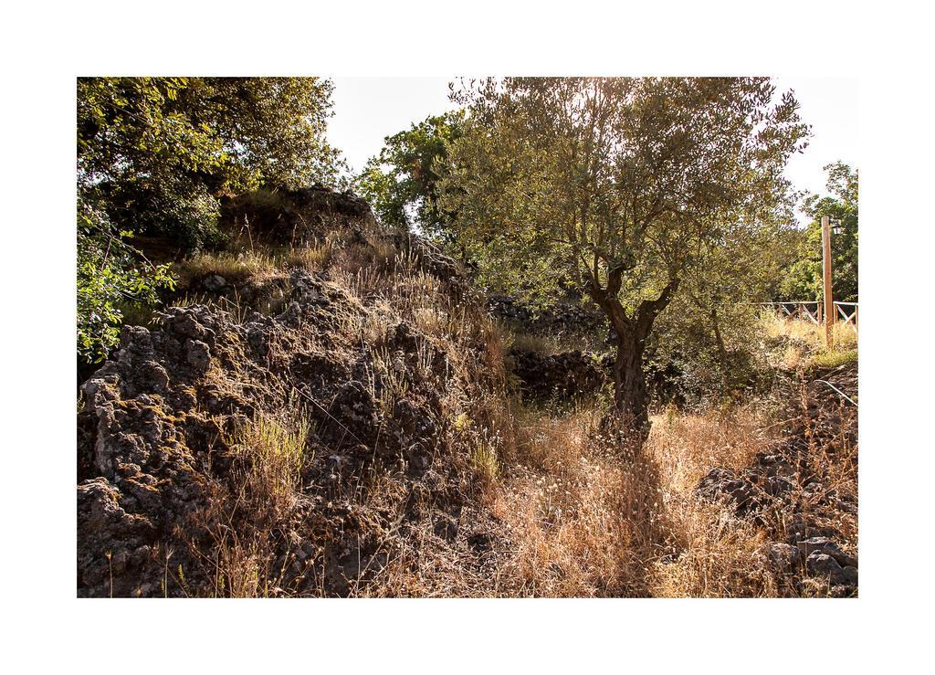 Ecoagriturismo Notti Stellate Etna Mare Mascali Buitenkant foto