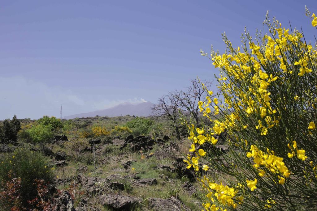 Ecoagriturismo Notti Stellate Etna Mare Mascali Buitenkant foto